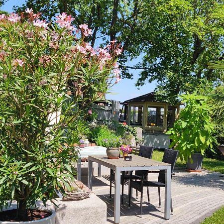 Apartment Im Gruenen Mit Anbindung Ans Zentrum Erfurt Zewnętrze zdjęcie