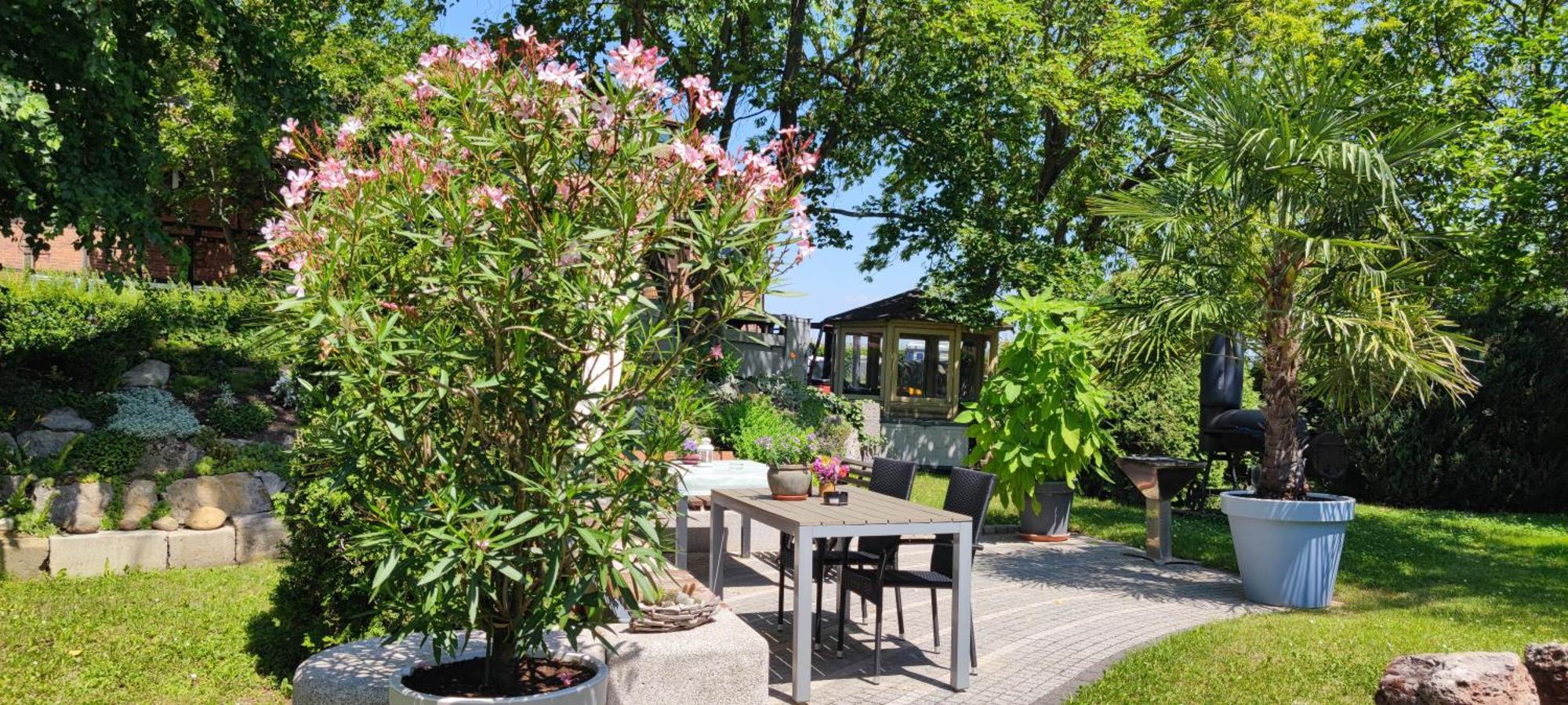 Apartment Im Gruenen Mit Anbindung Ans Zentrum Erfurt Zewnętrze zdjęcie